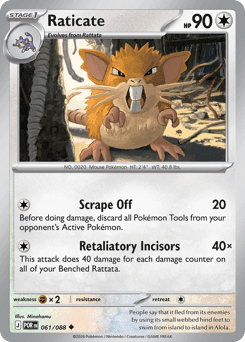 Raticate 61/88 — Equilíbrio Perfeito