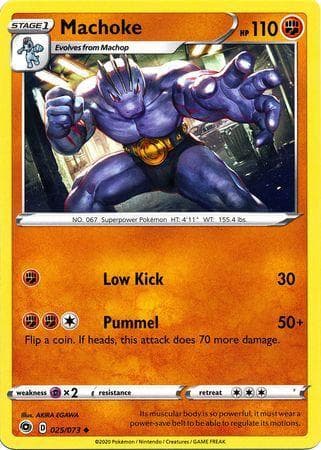 Machoke 25/73 — Caminho do Campeão