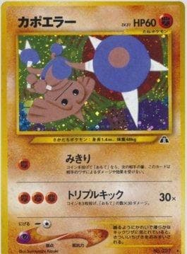 Hitmontop 038/56 — Crossing the Ruins