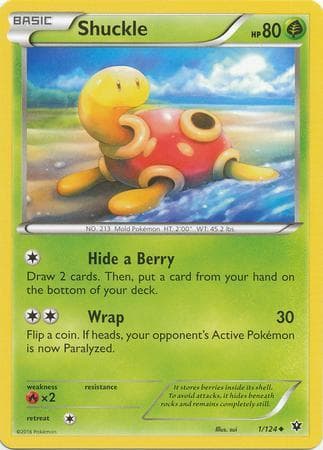 Shuckle 1 — Fusão de Destinos