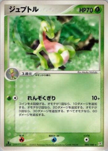 Carta Grovyle 005/80 do set Magma VS Aqua: Two Ambitions — Pokémon TCG | Bynx
