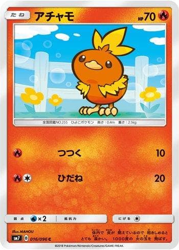 Torchic 016 — Sky-Splitting Charisma