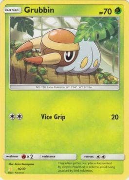 Grubbin 16/30 — Sun & Moon Trainer Kit - Alolan Raichu