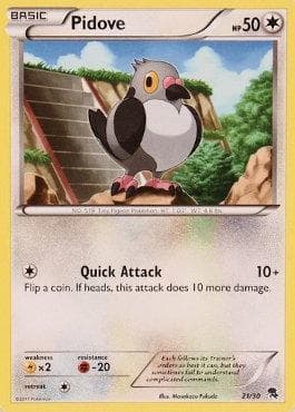 Pidove 21 — Black & White Trainer Kit - Zoroark