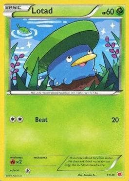 Lotad 11 — XY Trainer Kit - Latias