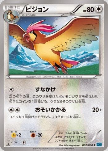 Pidgeotto 062 — Wild Blaze