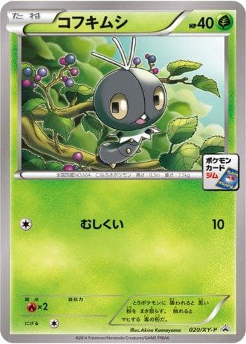 Scatterbug 020 — XY Promos (JP)