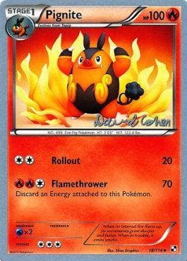 Carta Pignite (02/22) do set World Championship 2011: Twinboar — Pokémon TCG | Bynx