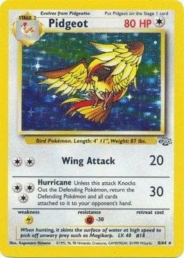 Carta Pidgeot (8/64) do set Selva — Pokémon TCG | Bynx