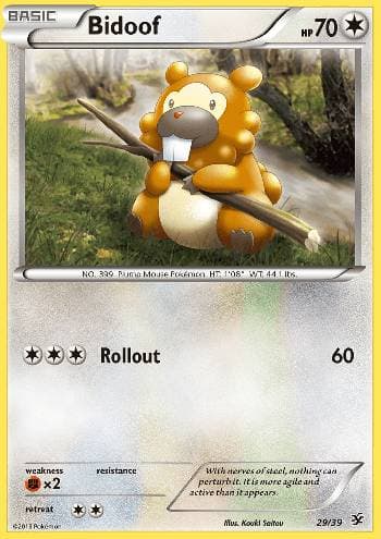 Bidoof — Conjunto para Iniciantes Kalos