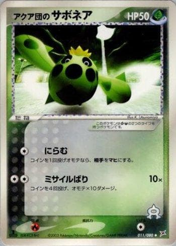 Team Aqua's Cacnea (011/080) — Magma VS Aqua: Two Ambitions