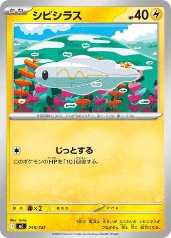 Tynamo (256/742) — Liga BR — MC