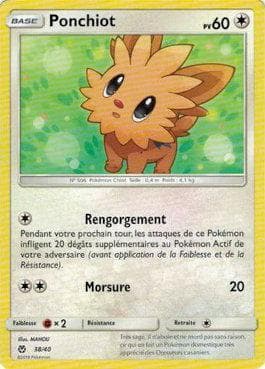 Carta Lillipup (38/40) do set McDonald's Collection 2018 (French) — Pokémon TCG | Bynx
