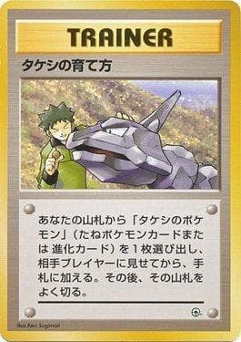 Brock's Training Method (019/027) — Nivi City Gym