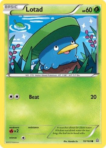 Lotad (10/160) — Conflito Primitivo