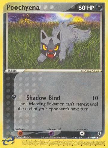 Poochyena (65/109) — Rubi & Safira