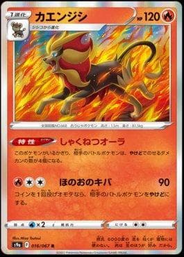 Carta Pyroar (016/067) do set Battle Region — Pokémon TCG | Bynx