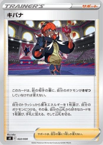 Roy / Raihan (022/030) 022 — VSTAR Premium Trainer Box