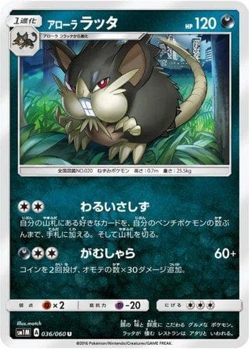 Carta Alolan Raticate (036/060) do set Collection Moon — Pokémon TCG | Bynx