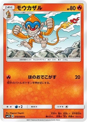 Carta Monferno (019/066) do set Liga BR — SM5S — Pokémon TCG | Bynx