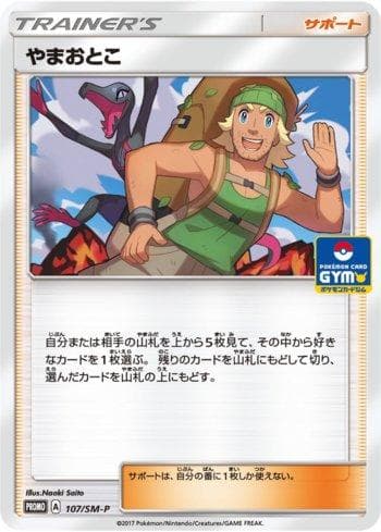 Carta Hiker (107/298) do set Sun & Moon Promos (JP) — Pokémon TCG | Bynx
