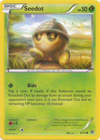 Carta Seedot (9/114) do set Cerco de Vapor — Pokémon TCG | Bynx