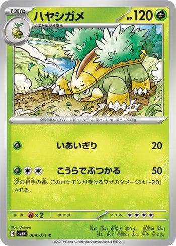 Carta Grotle (004/071) do set Wild Force — Pokémon TCG | Bynx