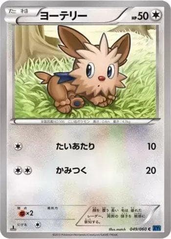 Lillipup (049/060) — Collection X
