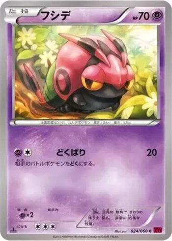 Carta Venipede (024/060) do set Collection Y — Pokémon TCG | Bynx