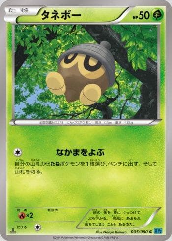 Carta Seedot (005/080) do set Wild Blaze — Pokémon TCG | Bynx