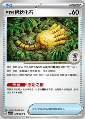 Antique Root Fossil 184/208 — Stellar Crystal