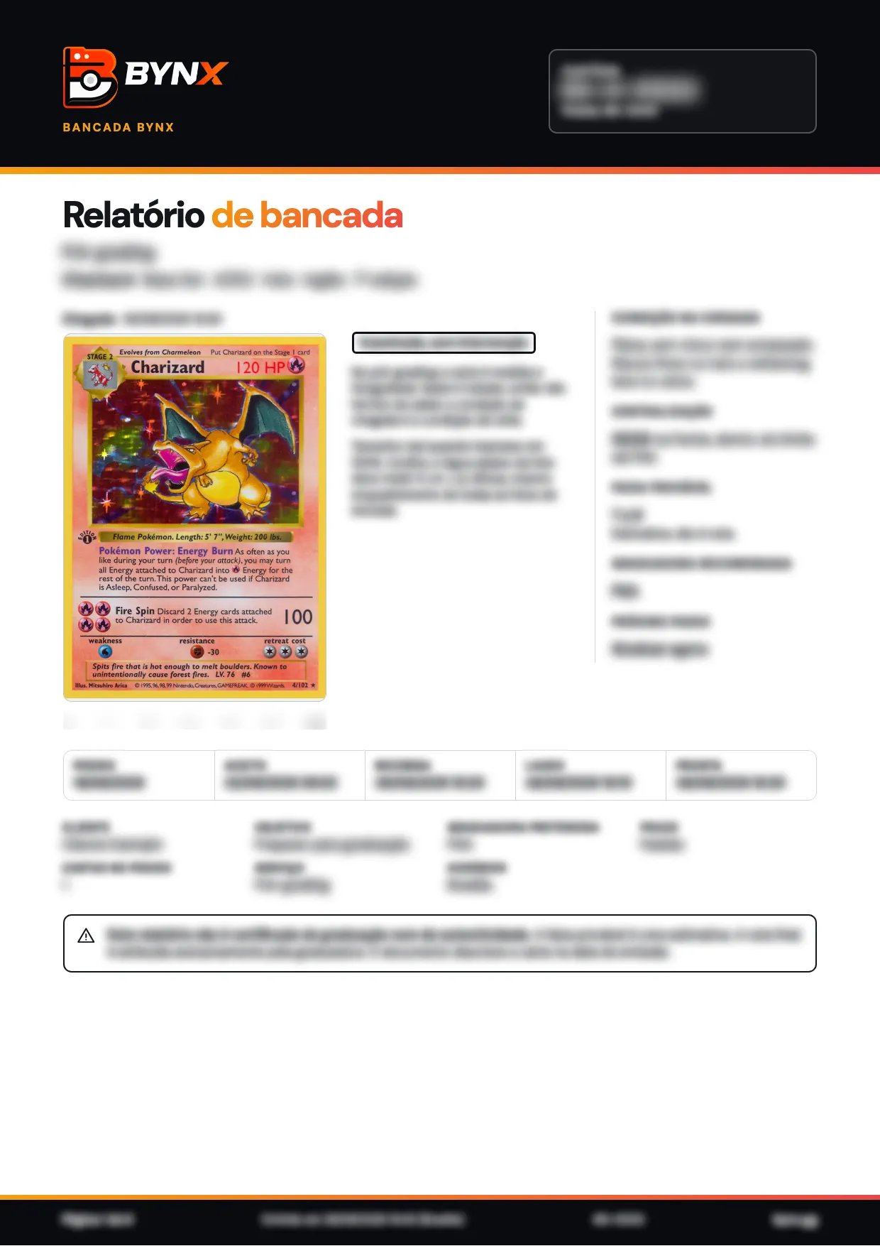 Página 1 de 6 do relatório de exemplo, com o texto borrado: capa e resumo